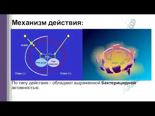 Механизм действия: По типу действия – обладают выраженной бактерицидной активностью.