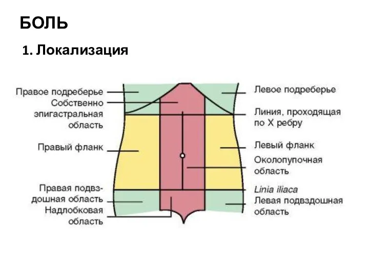 БОЛЬ 1. Локализация