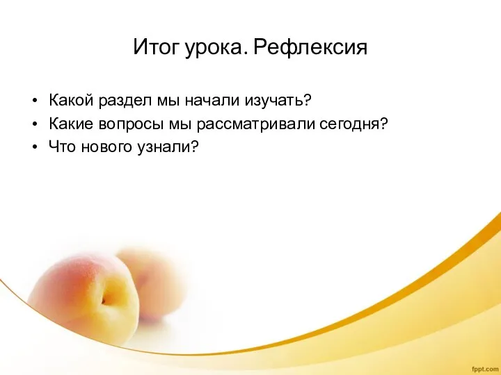 Итог урока. Рефлексия Какой раздел мы начали изучать? Какие вопросы мы рассматривали сегодня? Что нового узнали?