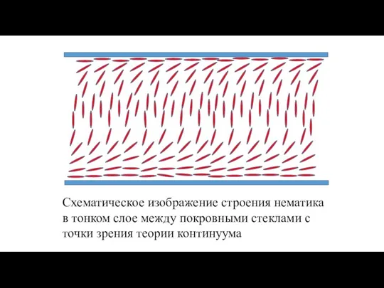 Схематическое изображение строения нематика в тонком слое между покровными стеклами с точки зрения теории континуума