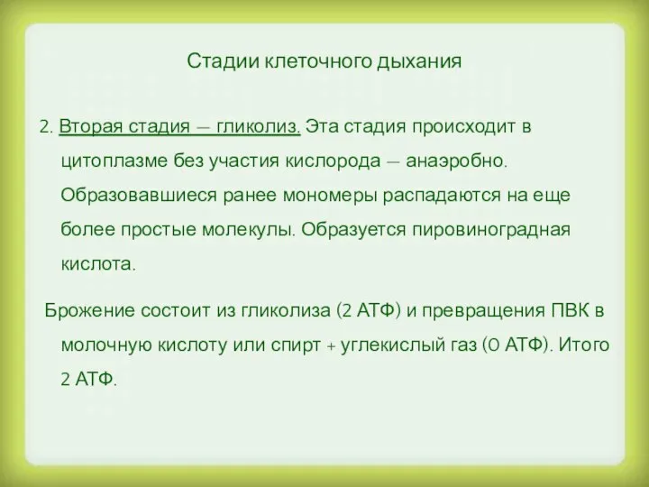 Стадии клеточного дыхания 2. Вторая стадия — гликолиз. Эта стадия происходит в