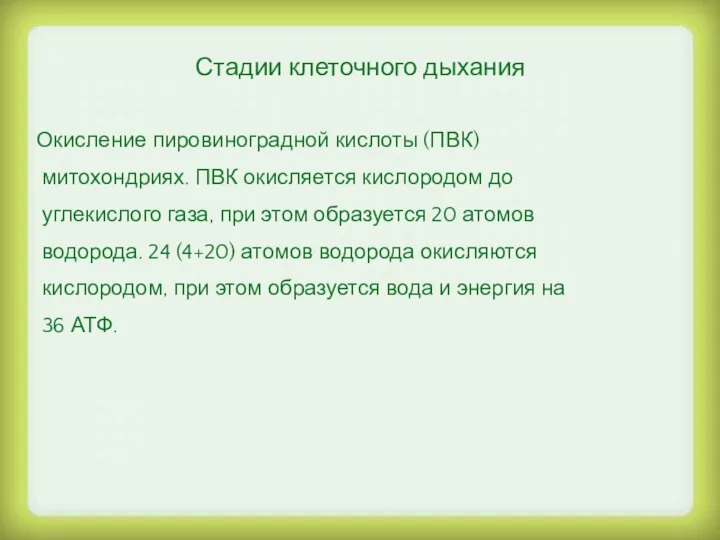 Стадии клеточного дыхания Окисление пировиноградной кислоты (ПВК) митохондриях. ПВК окисляется кислородом до