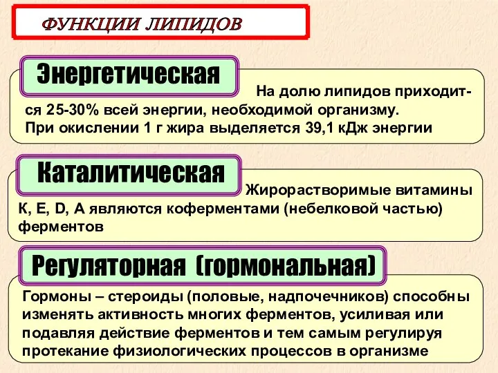 Энергетическая ФУНКЦИИ ЛИПИДОВ На долю липидов приходит-ся 25-30% всей энергии, необходимой организму.