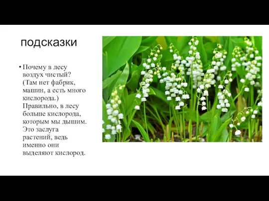 подсказки Почему в лесу воздух чистый? (Там нет фабрик, машин, а есть