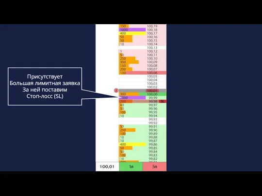 Присутствует Большая лимитная заявка За ней поставим Стоп-лосс (SL)