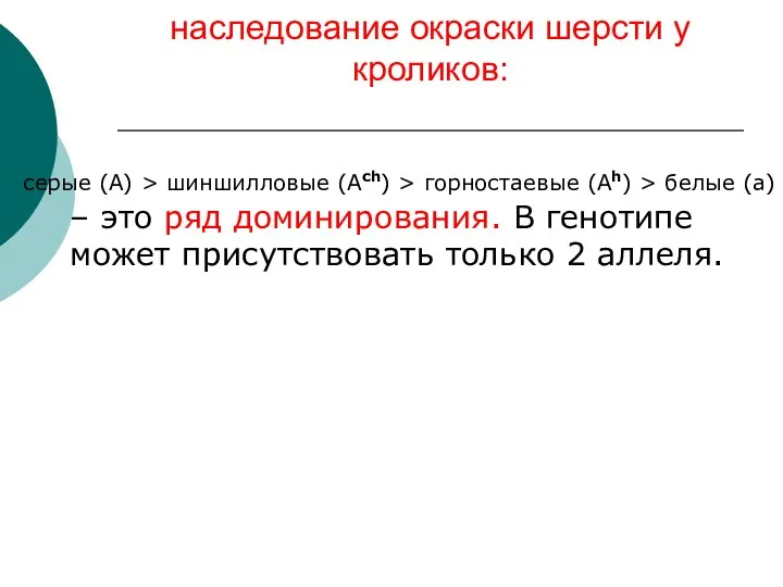 наследование окраски шерсти у кроликов: серые (А) > шиншилловые (Аch) > горностаевые