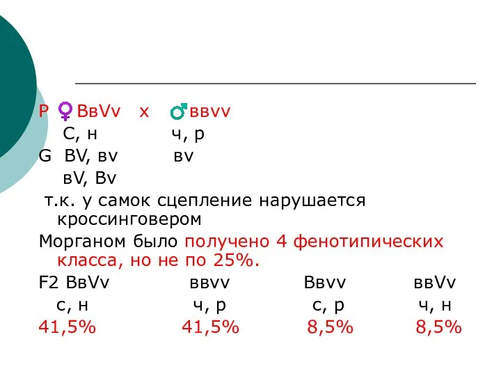 Р ♀ВвVv х ♂ввvv C, н ч, р G ВV, вv вv