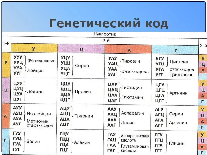 Генетический код