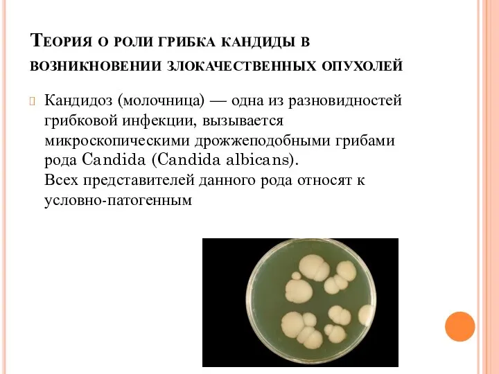 Теория о роли грибка кандиды в возникновении злокачественных опухолей Кандидоз (молочница) —