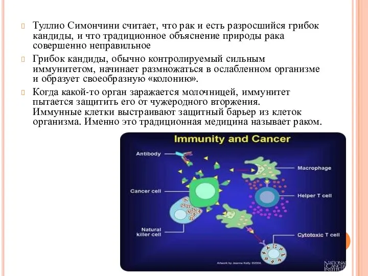 Туллио Симончини считает, что рак и есть разросшийся грибок кандиды, и что