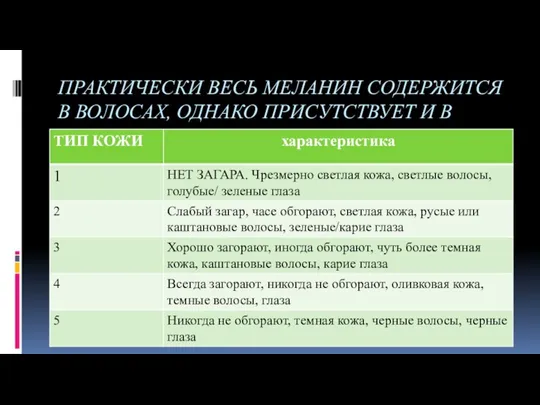 ПРАКТИЧЕСКИ ВЕСЬ МЕЛАНИН СОДЕРЖИТСЯ В ВОЛОСАХ, ОДНАКО ПРИСУТСТВУЕТ И В КОЖЕ