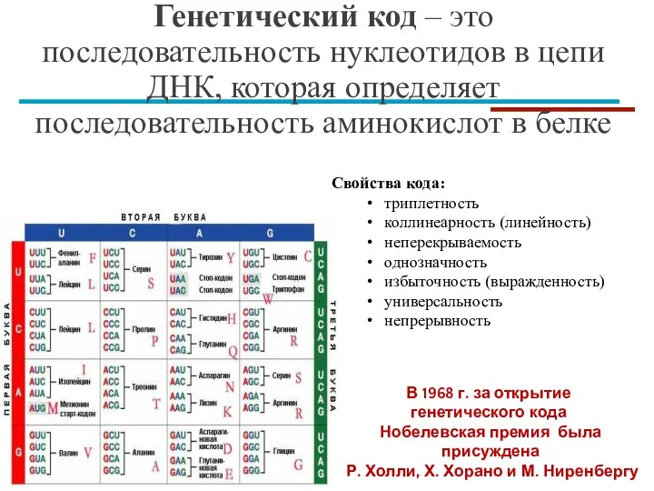 Генетический код – это последовательность нуклеотидов в цепи ДНК, которая определяет последовательность