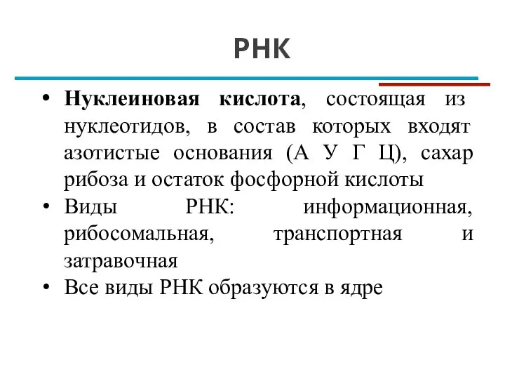 РНК Нуклеиновая кислота, состоящая из нуклеотидов, в состав которых входят азотистые основания