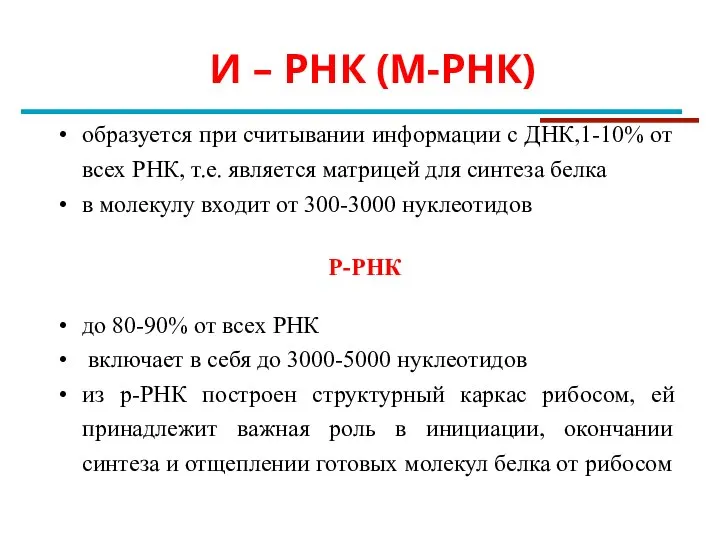 И – РНК (М-РНК) образуется при считывании информации с ДНК,1-10% от всех