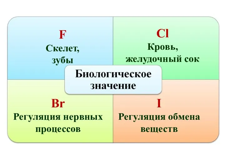 F Скелет, зубы Сl Кровь, желудочный сок Br Регуляция нервных процессов I Регуляция обмена веществ