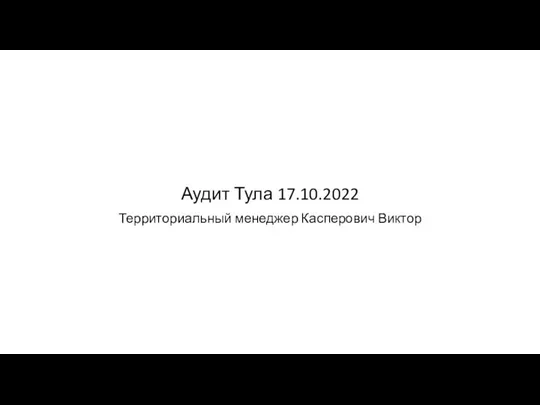 Аудит Тула17.10