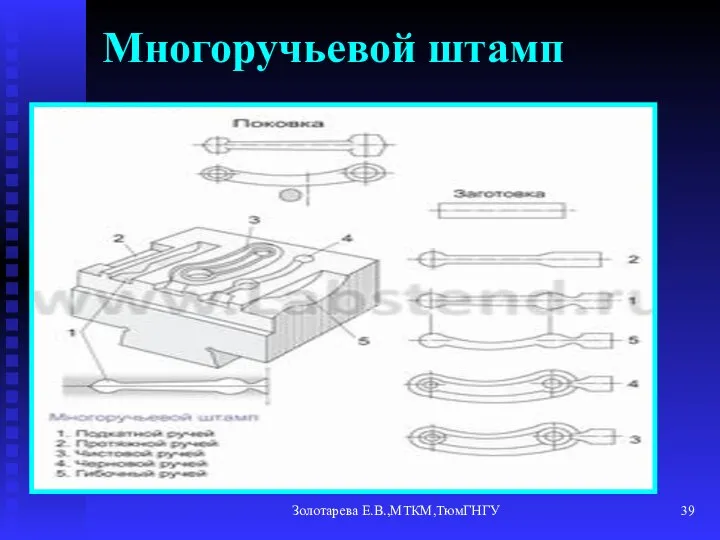 Золотарева Е.В.,МТКМ,ТюмГНГУ Многоручьевой штамп