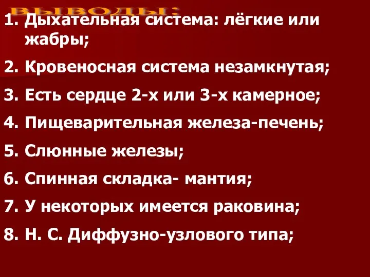 выводы: Дыхательная система: лёгкие или жабры; Кровеносная система незамкнутая; Есть сердце 2-х