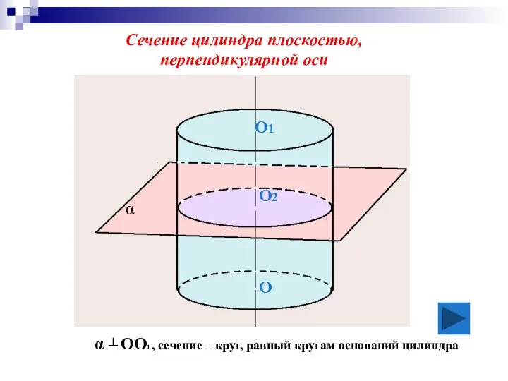 α ┴ OO1 , сечение – круг, равный кругам оснований цилиндра Сечение