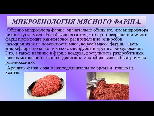 МИКРОБИОЛОГИЯ МЯСНОГО ФАРША. Обычно микрофлора фарша значительно обильнее, чем микрофлора целого куска