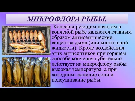 Консервирующим началом в копченой рыбе являются главным образом антисептические вещества дыма (или