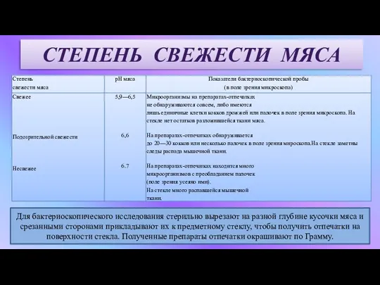 СТЕПЕНЬ СВЕЖЕСТИ МЯСА Для бактериоскопического исследования стерильно вырезают на разной глубине кусочки