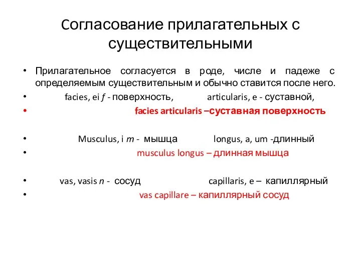 Cогласование прилагательных с существительными Прилагательное согласуется в роде, числе и падеже с