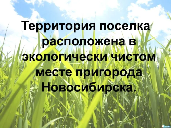 Территория поселка расположена в экологически чистом месте пригорода Новосибирска.