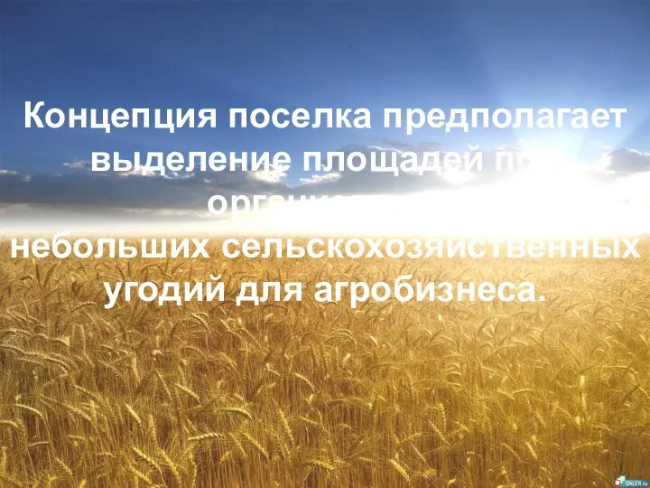 Концепция поселка предполагает выделение площадей под организацию небольших сельскохозяйственных угодий для агробизнеса.