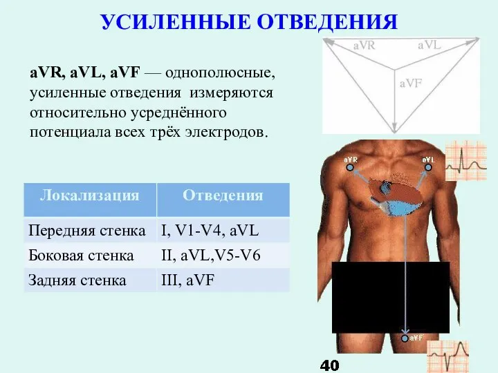 УСИЛЕННЫЕ ОТВЕДЕНИЯ aVR, aVL, aVF — однополюсные, усиленные отведения измеряются относительно усреднённого потенциала всех трёх электродов.