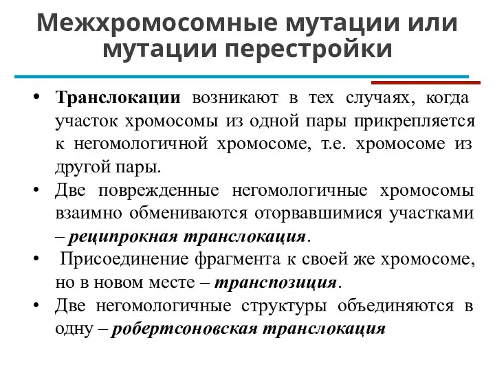 Межхромосомные мутации или мутации перестройки Транслокации возникают в тех случаях, когда участок