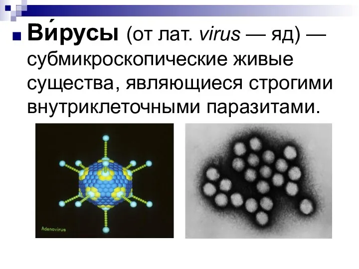 Ви́русы (от лат. virus — яд) — субмикроскопические живые существа, являющиеся строгими внутриклеточными паразитами.