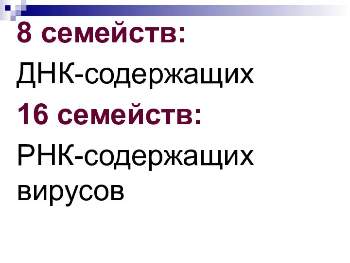 8 семейств: ДНК-содержащих 16 семейств: РНК-содержащих вирусов