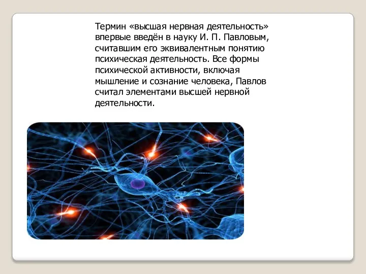 Термин «высшая нервная деятельность» впервые введён в науку И. П. Павловым, считавшим