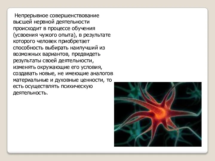 Непрерывное совершенствование высшей нервной деятельности происходит в процессе обучения (усвоения чужого опыта),