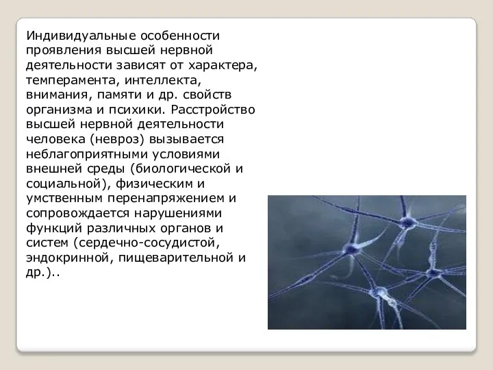 Индивидуальные особенности проявления высшей нервной деятельности зависят от характера, темперамента, интеллекта, внимания,