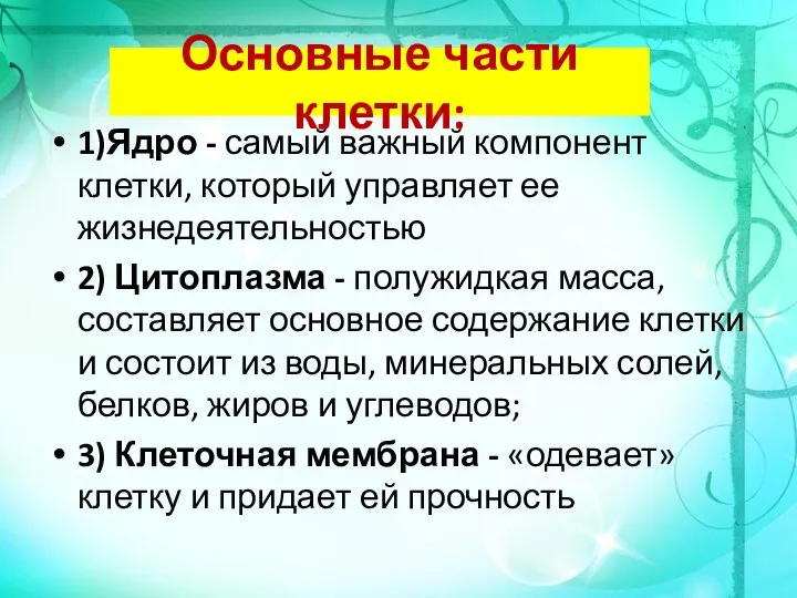 Основные части клетки: 1)Ядро - самый важный компонент клетки, который управляет ее