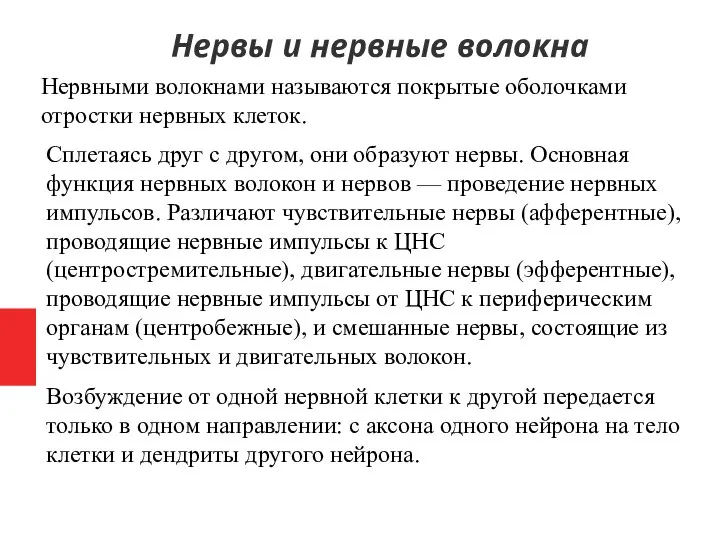 Нервными волокнами называются покрытые оболочками отростки нервных клеток. Сплетаясь друг с другом,