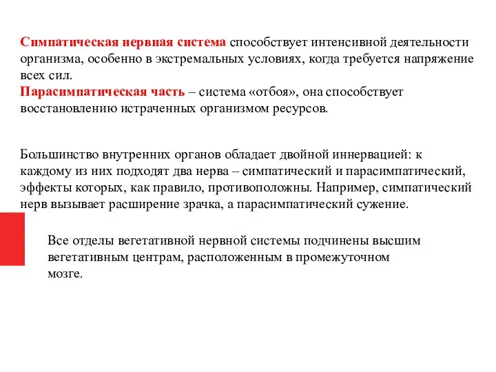 Симпатическая нервная система способствует интенсивной деятельности организма, особенно в экстремальных условиях, когда