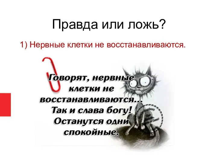 Правда или ложь? 1) Нервные клетки не восстанавливаются.