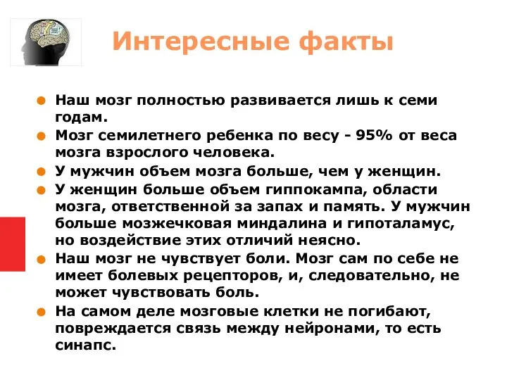 Наш мозг полностью развивается лишь к семи годам. Мозг семилетнего ребенка по