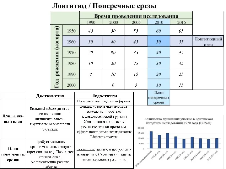 Лонгитюд / Поперечные срезы