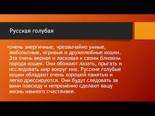 Русская голубая очень энергичные, чрезвычайно умные, любопытные, игривые и дружелюбные кошки.Эта очень