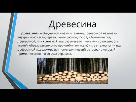 Древесина Древесина - в обыденной жизни и технике древесиной называют внутреннюю часть