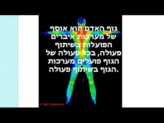 גוף האדם הוא אוסף של מערכות איברים הפועלות בשיתוף פעולה, בכל פעולה