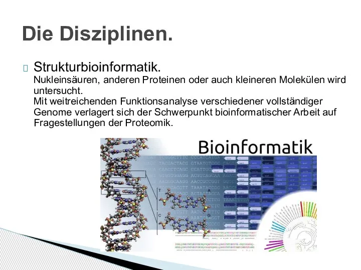 Strukturbioinformatik. Nukleinsäuren, anderen Proteinen oder auch kleineren Molekülen wird untersucht. Mit weitreichenden