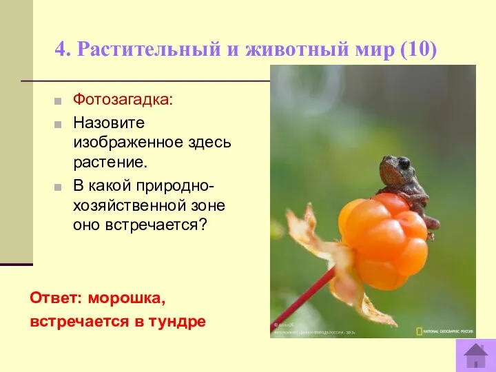 4. Растительный и животный мир (10) Ответ: морошка, встречается в тундре Фотозагадка: