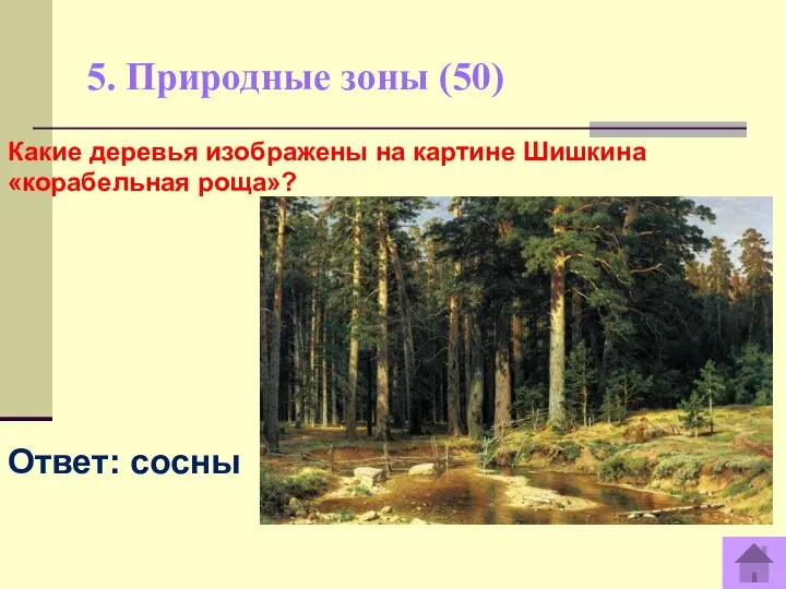 5. Природные зоны (50) Какие деревья изображены на картине Шишкина «корабельная роща»? Ответ: сосны