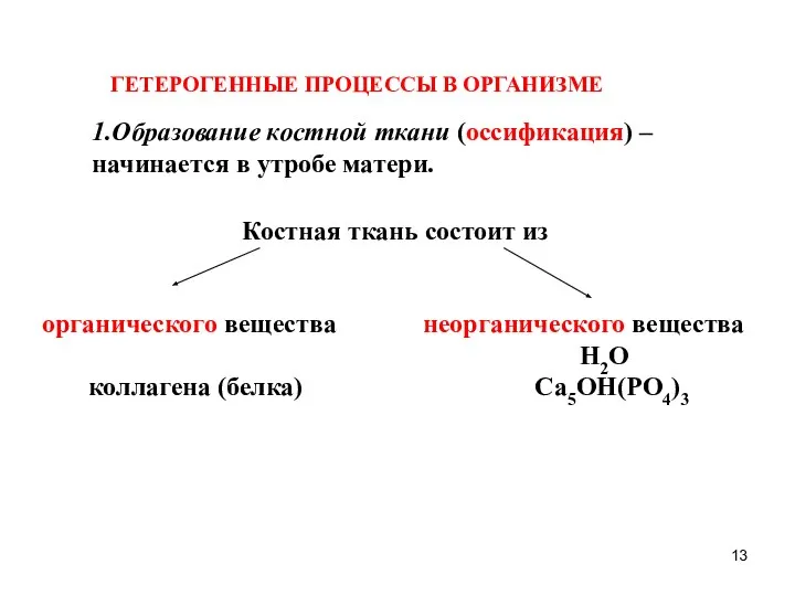 ГЕТЕРОГЕННЫЕ ПРОЦЕССЫ В ОРГАНИЗМЕ 1.Образование костной ткани (оссификация) – начинается в утробе