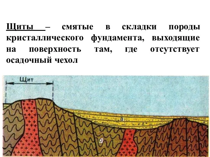 Щиты – смятые в складки породы кристаллического фундамента, выходящие на поверхность там, где отсутствует осадочный чехол